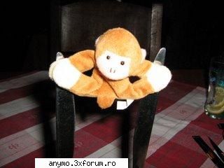 poza