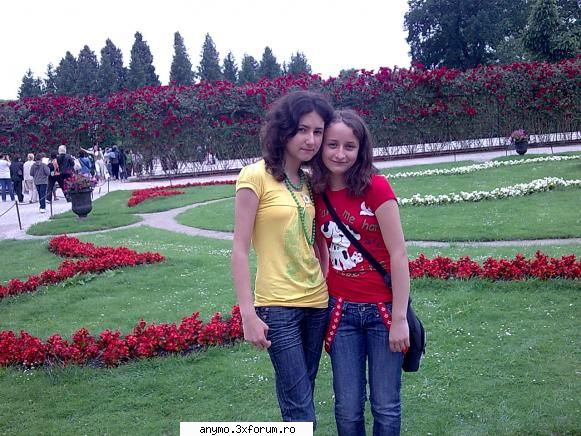 amici adry